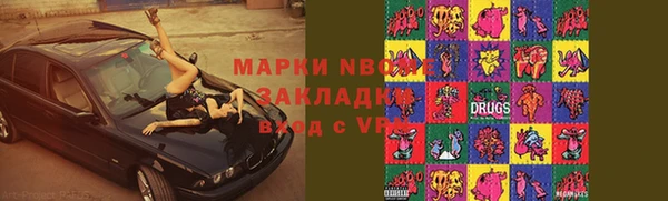 прущие грибы Аркадак
