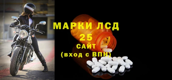 прущие грибы Аркадак