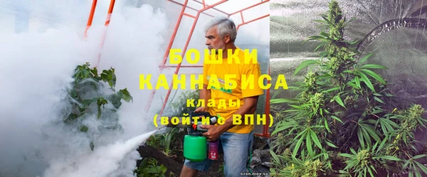 прущие грибы Аркадак