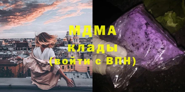 прущие грибы Аркадак