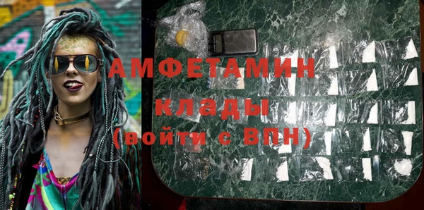 прущие грибы Аркадак
