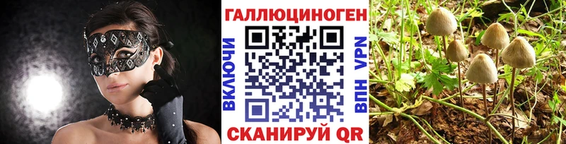 гидра вход  Тайшет  Псилоцибиновые грибы Magic Shrooms 